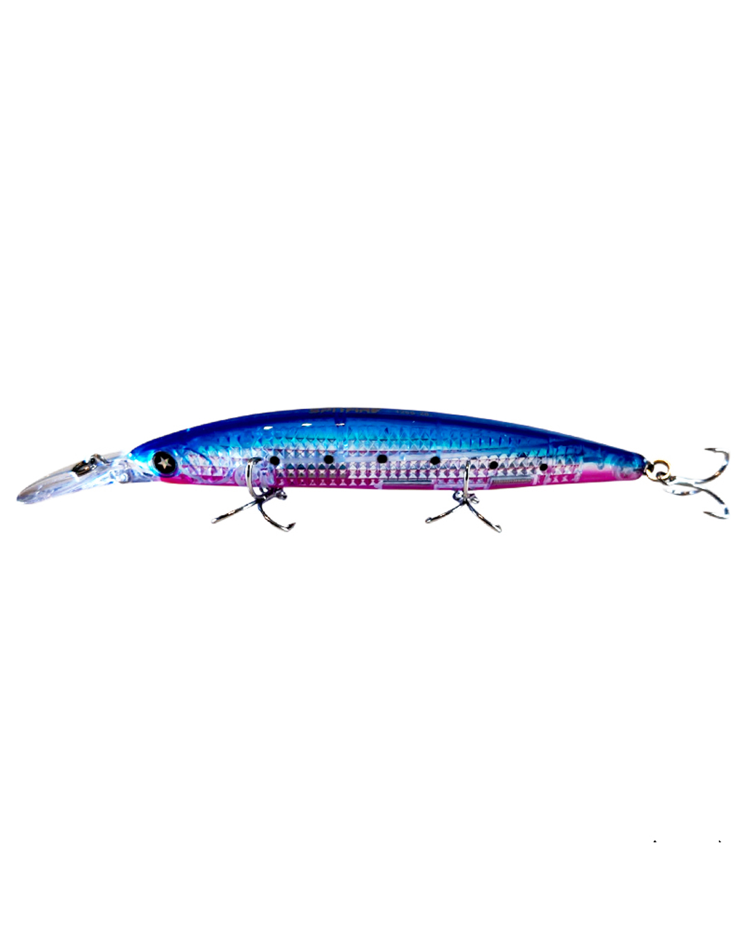 BLUE SARDINE