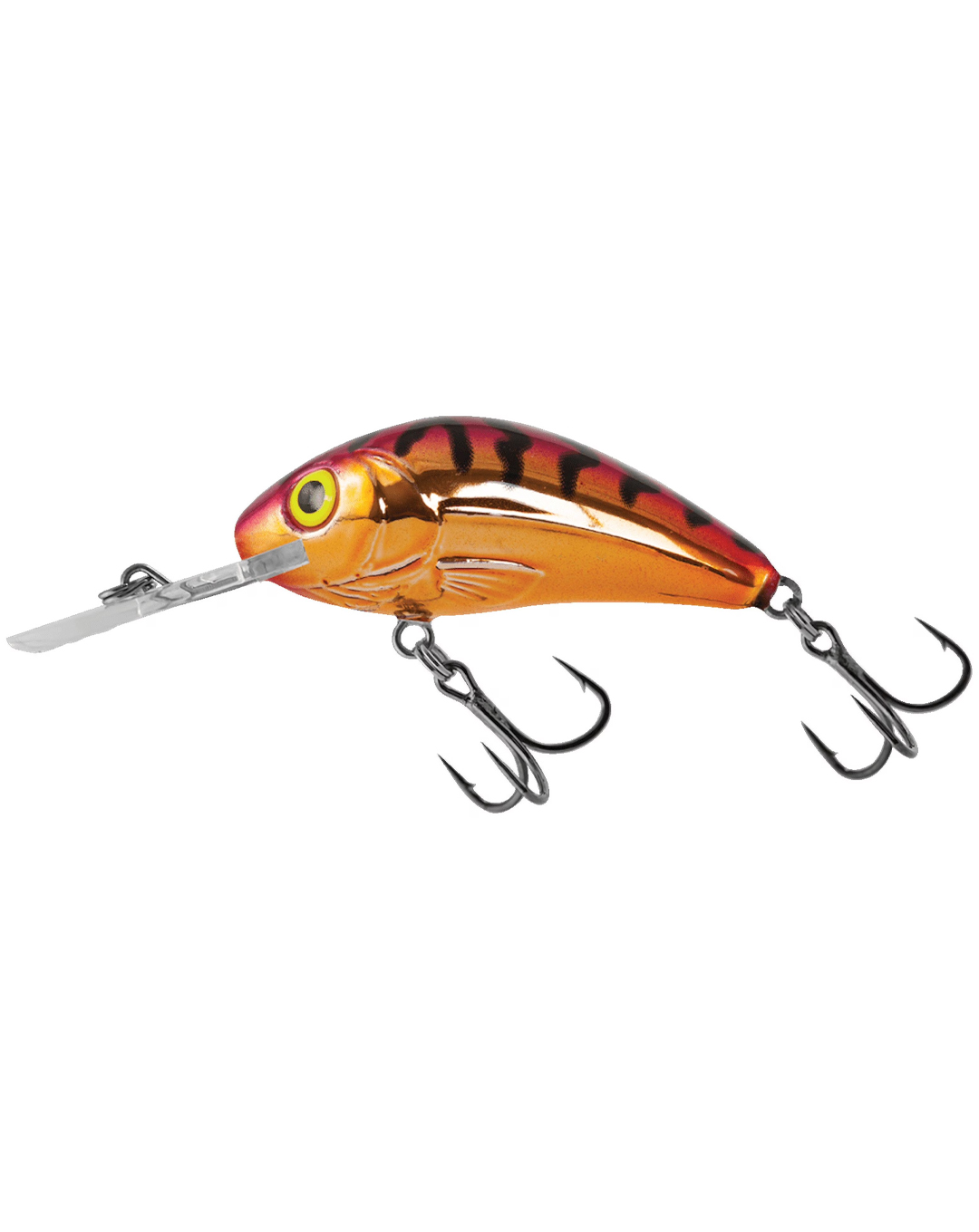 RATTLIN HORNET 5.5